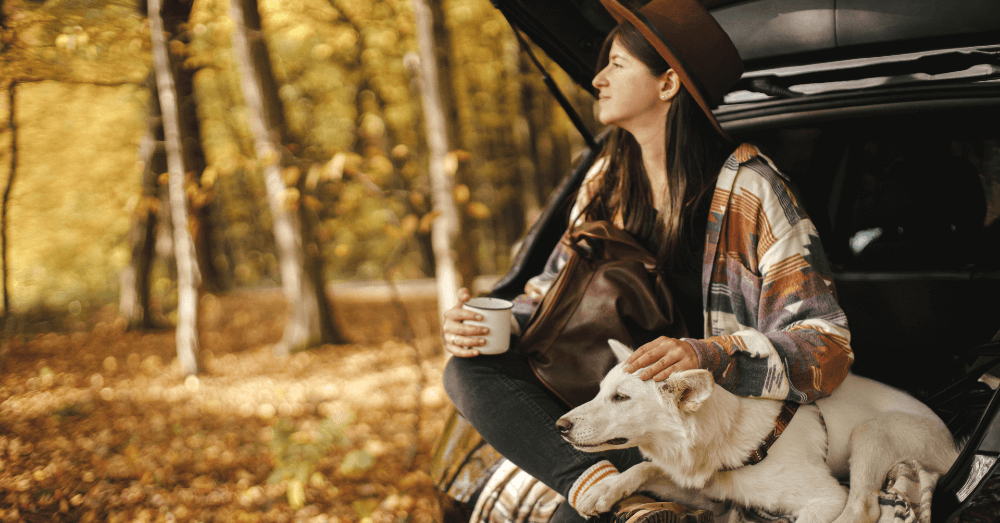 Exploring the Best Cars for Pet Owners