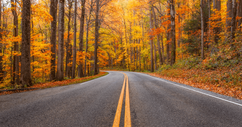 Fall Driving Routes Worthy of Instagram Posts